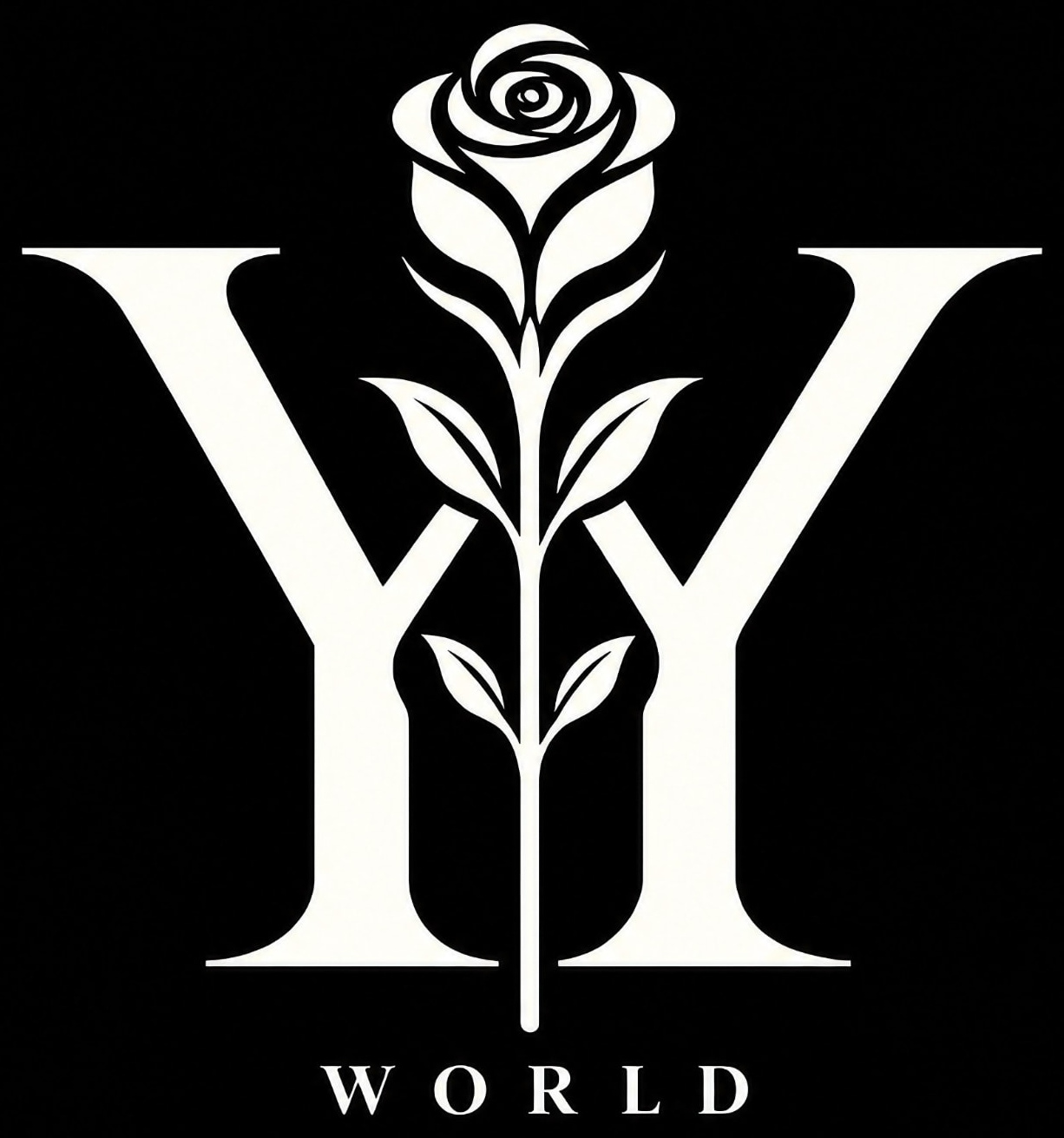 YANG YAN WORLD